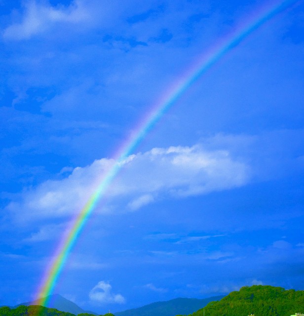 f:id:takibitousagi:20200729232106j:image