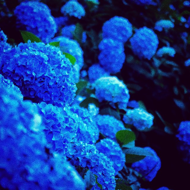 f:id:takibitousagi:20200731191712j:image
