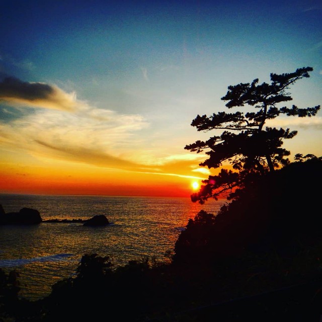 f:id:takibitousagi:20200827183245j:image f:id:takibitousagi:20200827183245j:image