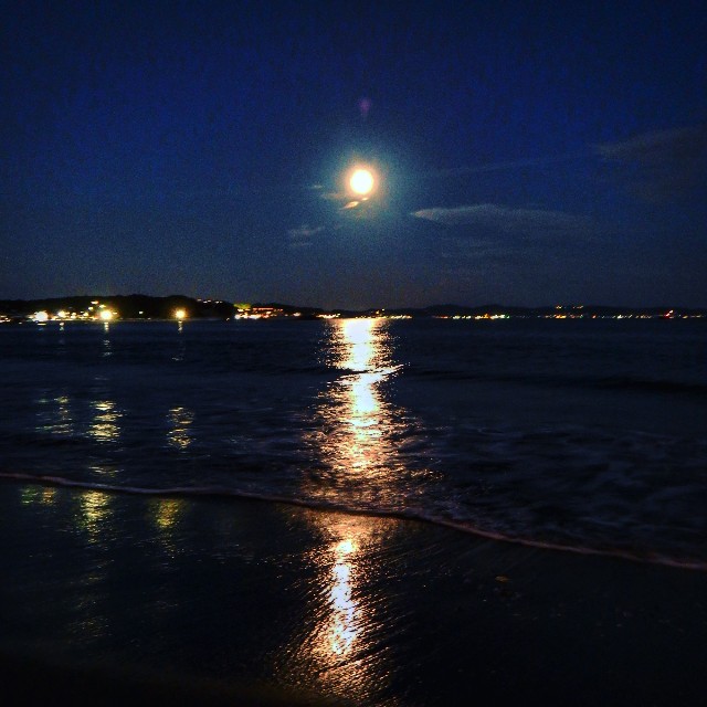 f:id:takibitousagi:20200901184552j:image