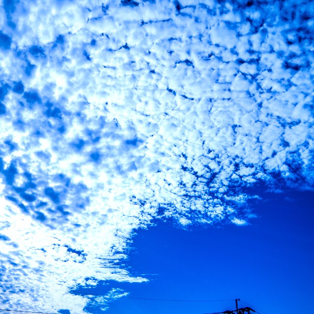 f:id:takibitousagi:20200930191915j:image