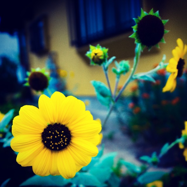 f:id:takibitousagi:20201013193650j:image