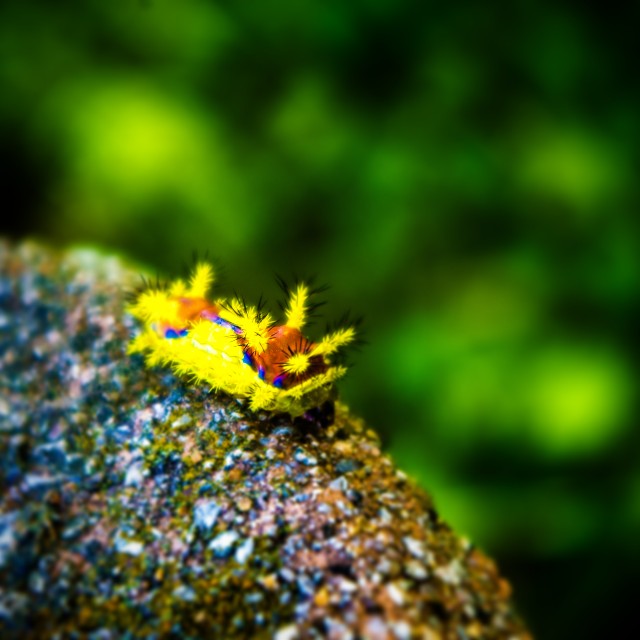 f:id:takibitousagi:20201022191939j:image