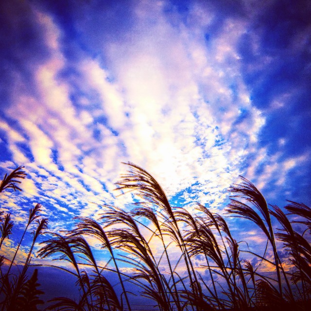 f:id:takibitousagi:20201024180713j:image