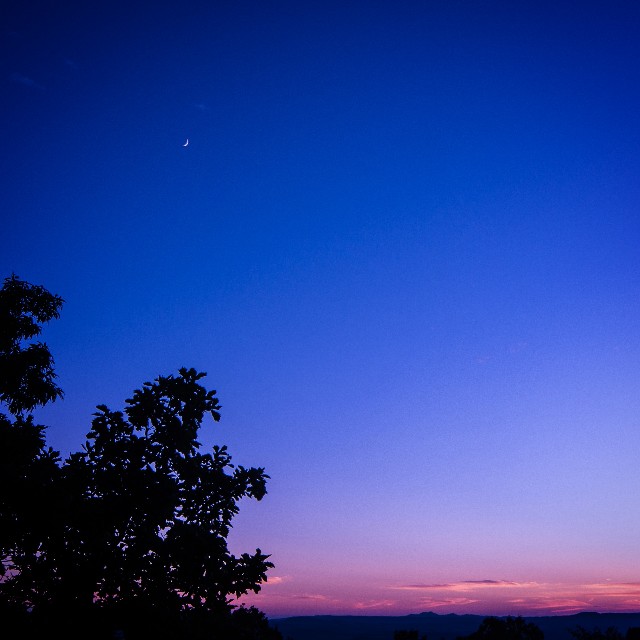 f:id:takibitousagi:20201110185739j:image f:id:takibitousagi:20201110185739j:image