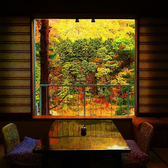 f:id:takibitousagi:20201119135032j:image f:id:takibitousagi:20201119135032j:image