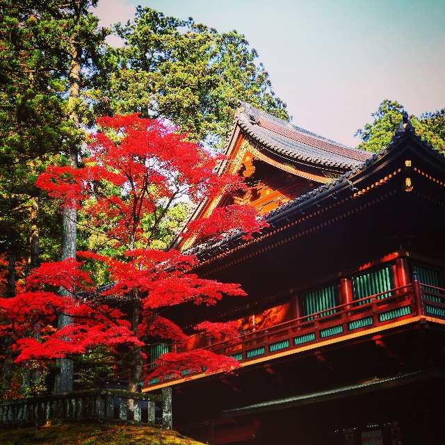 f:id:takibitousagi:20201123173720j:image