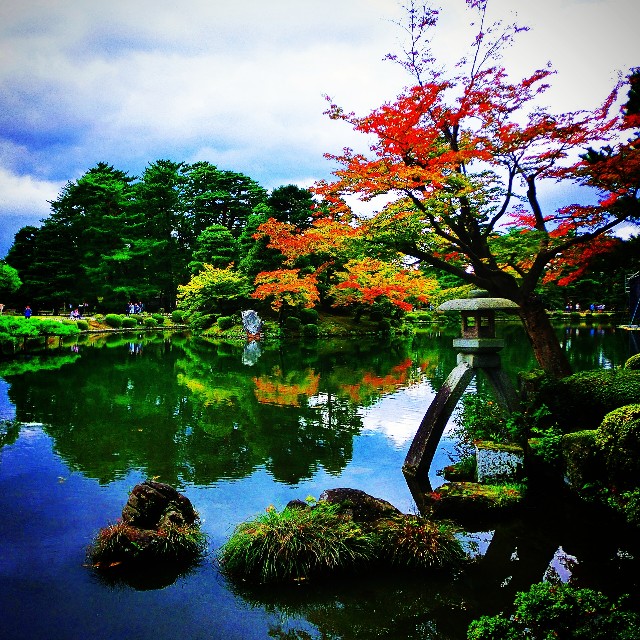 f:id:takibitousagi:20201128172907j:image f:id:takibitousagi:20201128172907j:image