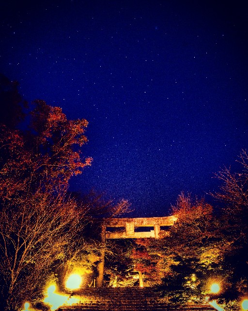 f:id:takibitousagi:20201130215742j:image