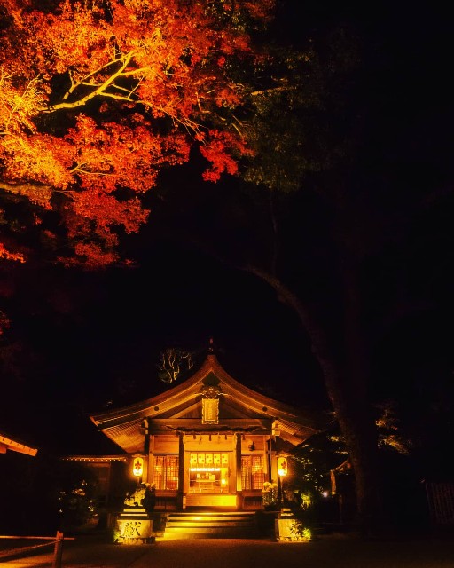 f:id:takibitousagi:20201201180655j:image