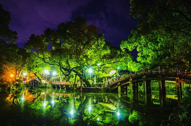 f:id:takibitousagi:20201212175026j:image f:id:takibitousagi:20201212175026j:image