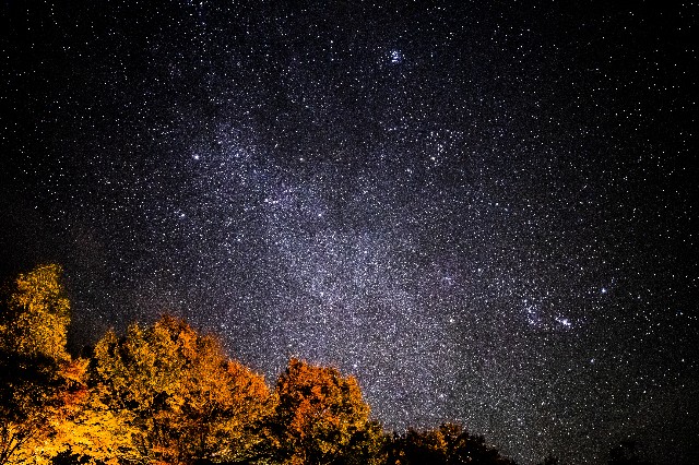 f:id:takibitousagi:20211201193255j:image