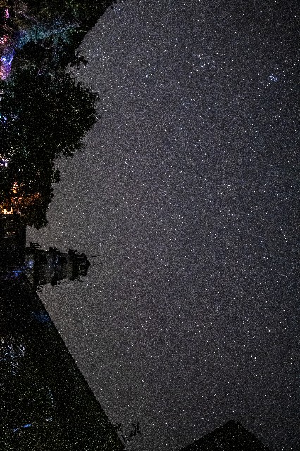 f:id:takibitousagi:20211208200213j:image f:id:takibitousagi:20211208200213j:image