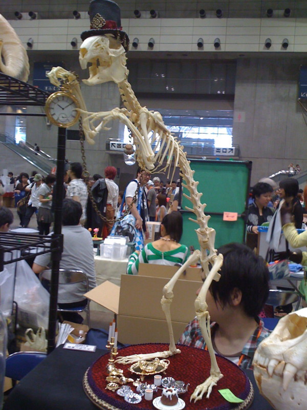 f:id:takigawa401:20111211234422j:image