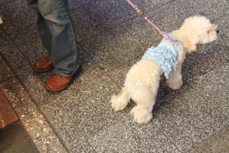 f:id:takigawa401:20130908112505j:image