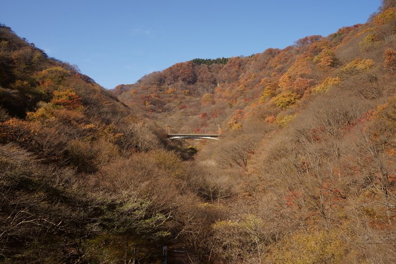 DSC02219.JPG