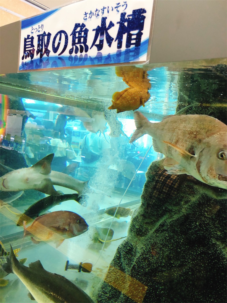 f:id:takiitakii:20190813123501j:plain f:id:takiitakii:20190813123501j:plain