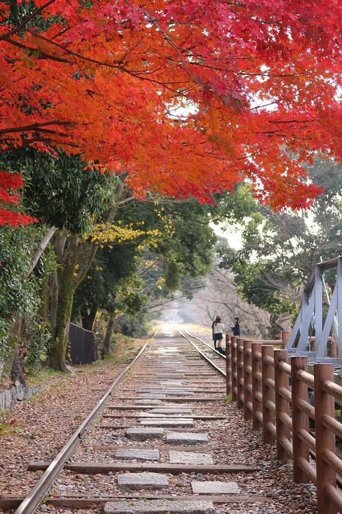 f:id:takiji05:20190108224424j:plain