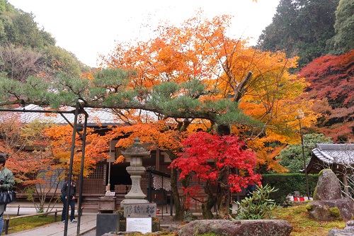f:id:takiji05:20190113231250j:plain f:id:takiji05:20190113231250j:plain