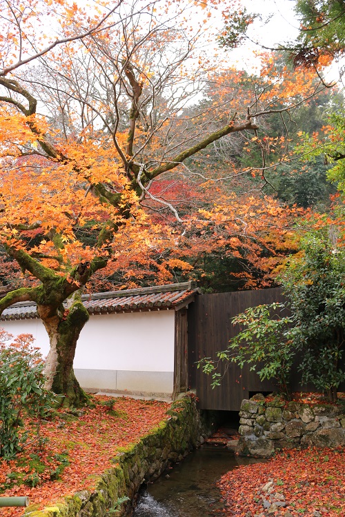f:id:takiji05:20190113232222j:plain f:id:takiji05:20190113232222j:plain