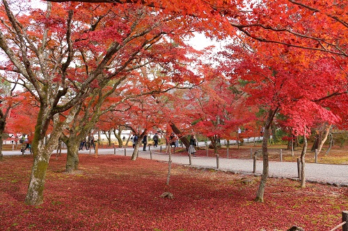 f:id:takiji05:20190113232233j:plain f:id:takiji05:20190113232233j:plain