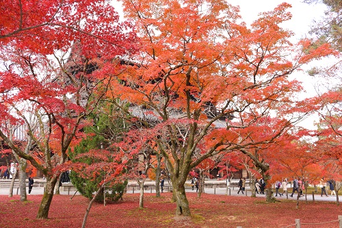 f:id:takiji05:20190113232243j:plain f:id:takiji05:20190113232243j:plain