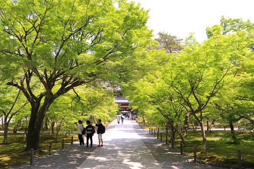 f:id:takiji05:20190113233018j:plain f:id:takiji05:20190113233018j:plain