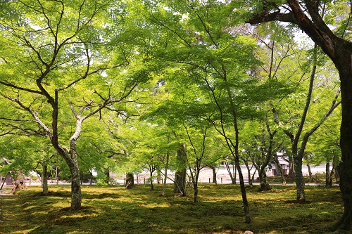 f:id:takiji05:20190113233027j:plain f:id:takiji05:20190113233027j:plain