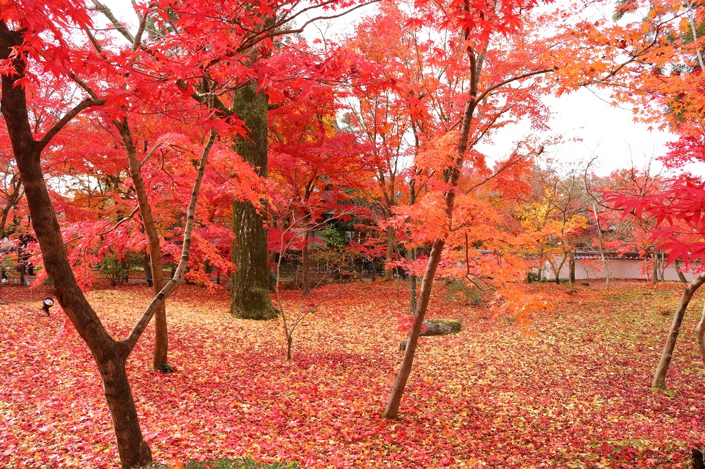 f:id:takiji05:20190113235220j:plain f:id:takiji05:20190113235220j:plain