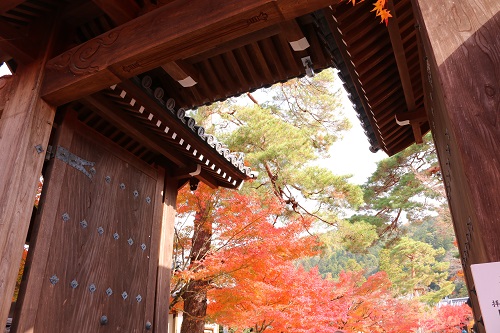 f:id:takiji05:20190114162756j:plain f:id:takiji05:20190114162756j:plain