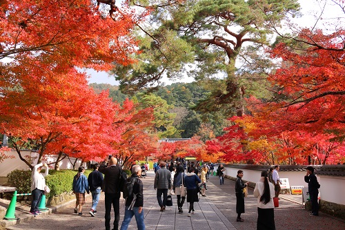 f:id:takiji05:20190114162804j:plain f:id:takiji05:20190114162804j:plain