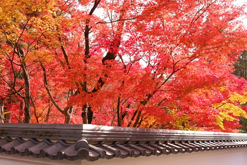 f:id:takiji05:20190114162812j:plain f:id:takiji05:20190114162812j:plain