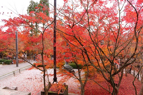 f:id:takiji05:20190114164504j:plain f:id:takiji05:20190114164504j:plain