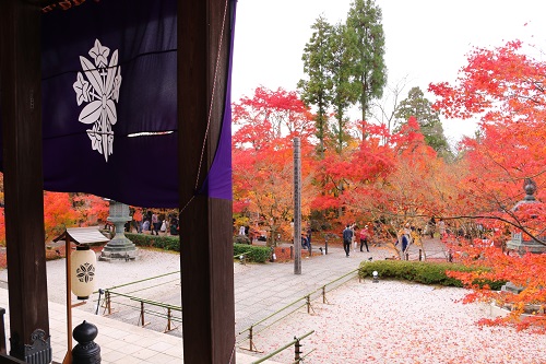 f:id:takiji05:20190114164512j:plain f:id:takiji05:20190114164512j:plain