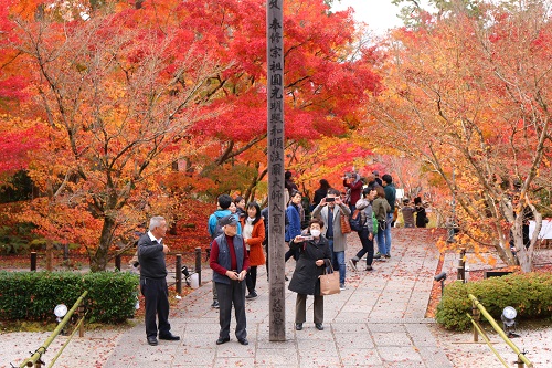 f:id:takiji05:20190114164525j:plain f:id:takiji05:20190114164525j:plain