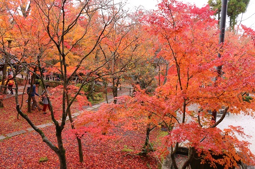 f:id:takiji05:20190114164543j:plain f:id:takiji05:20190114164543j:plain