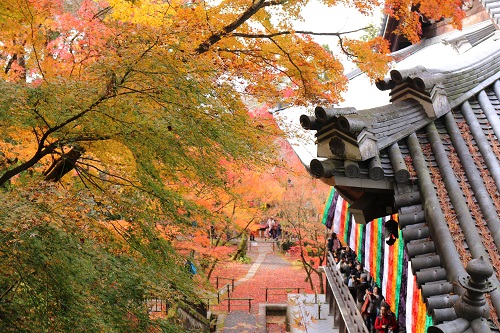 f:id:takiji05:20190114164558j:plain f:id:takiji05:20190114164558j:plain