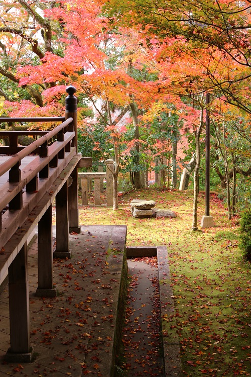 f:id:takiji05:20190114164844j:plain f:id:takiji05:20190114164844j:plain