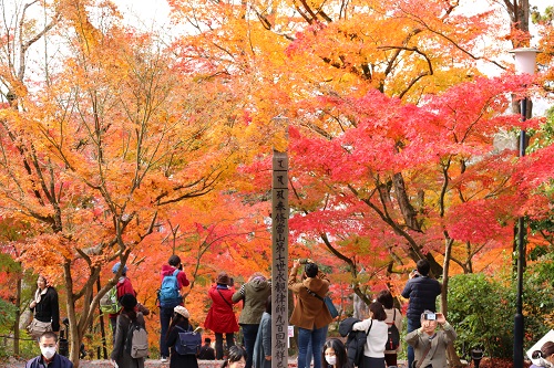 f:id:takiji05:20190114164901j:plain f:id:takiji05:20190114164901j:plain