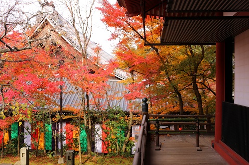 f:id:takiji05:20190114164920j:plain f:id:takiji05:20190114164920j:plain