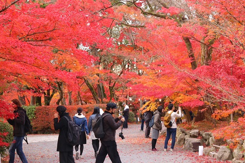 f:id:takiji05:20190114170958j:plain f:id:takiji05:20190114170958j:plain