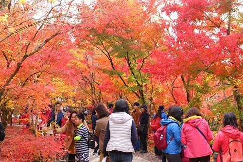 f:id:takiji05:20190114171007j:plain f:id:takiji05:20190114171007j:plain