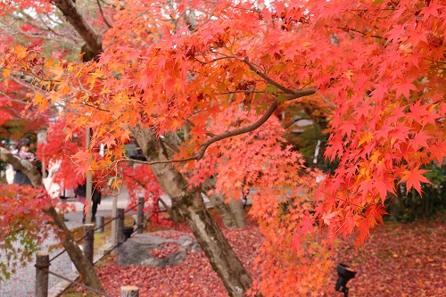 f:id:takiji05:20190114171022j:plain f:id:takiji05:20190114171022j:plain