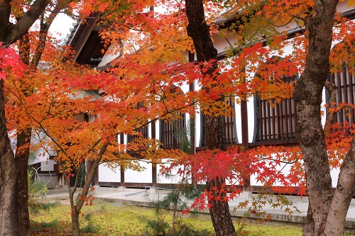 f:id:takiji05:20190114171038j:plain f:id:takiji05:20190114171038j:plain