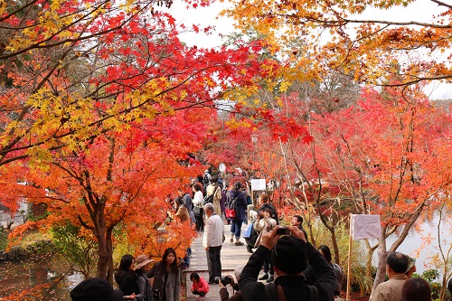 f:id:takiji05:20190114171047j:plain f:id:takiji05:20190114171047j:plain