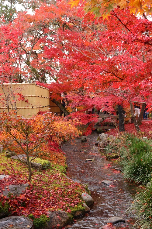 f:id:takiji05:20190114171103j:plain f:id:takiji05:20190114171103j:plain