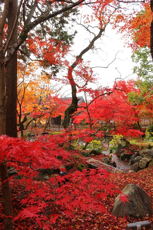 f:id:takiji05:20190114171111j:plain f:id:takiji05:20190114171111j:plain