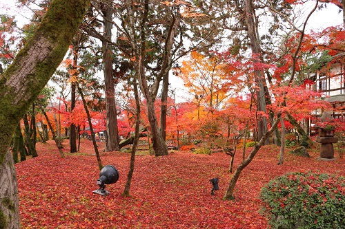 f:id:takiji05:20190114171117j:plain f:id:takiji05:20190114171117j:plain