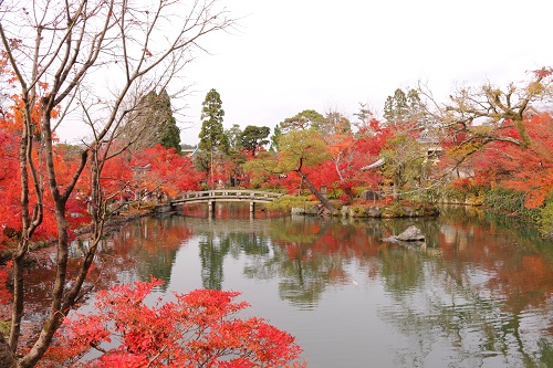 f:id:takiji05:20190114171126j:plain f:id:takiji05:20190114171126j:plain