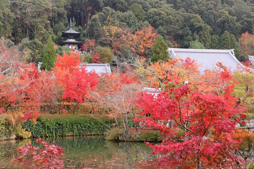 f:id:takiji05:20190114171141j:plain f:id:takiji05:20190114171141j:plain